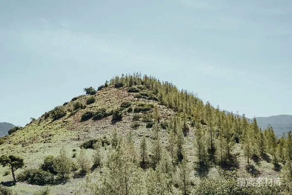高清摄影 山顶有树的一座小山
