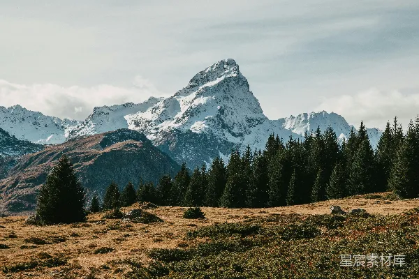 高清摄影 山后有树木与山水之景