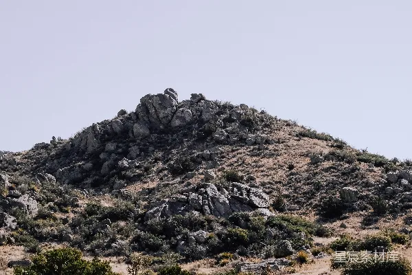 高清摄影 前景中有一棵小树的山峰