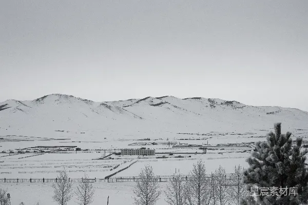 高清摄影 一幅黑白的雪景照片