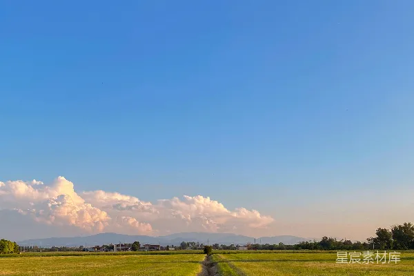 高清摄影 田野里一棵孤独的树，背景是蓝天。