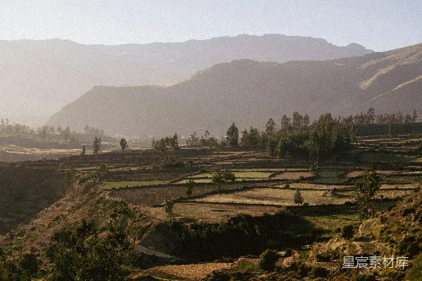 高清摄影 背景中有山的山谷景色