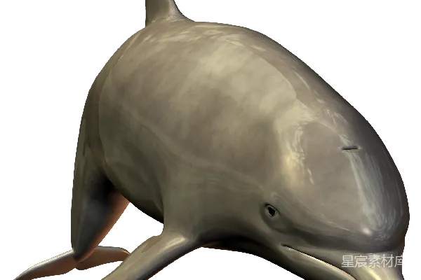 元素素材 PNG