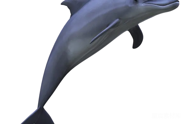 元素素材 海豚