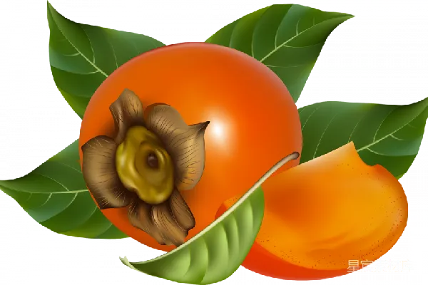 元素素材 透明