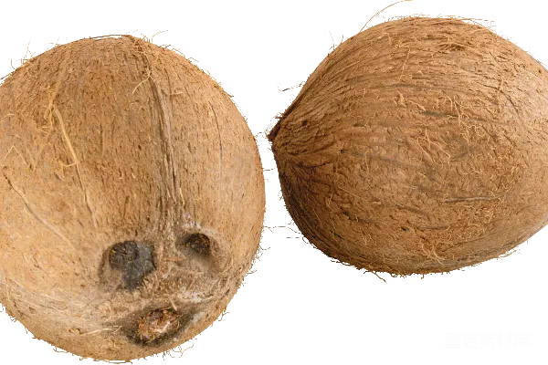 元素素材 PNG