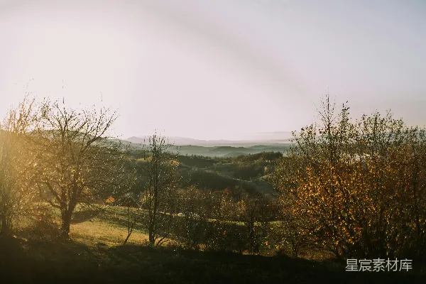 高清摄影 有树有山的风景