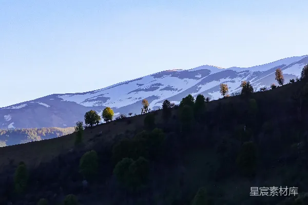 高清摄影 皑皑白雪下的蔚蓝天空。