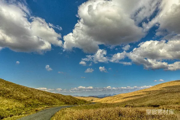 高清摄影 一条穿过草地的道路