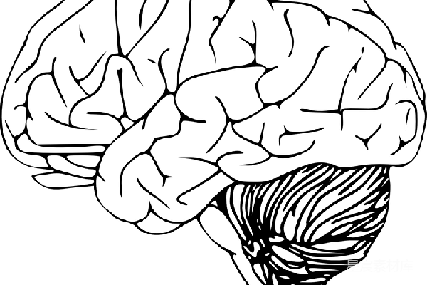 元素素材 大脑