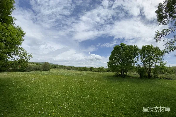 高清摄影 背景中有树和云的草地