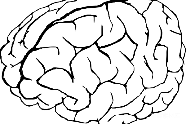 元素素材 大脑