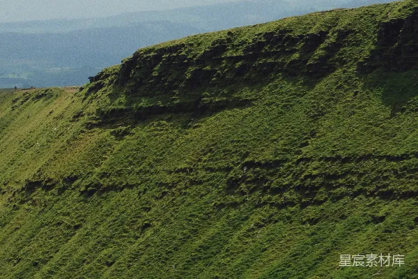 高清摄影 一只羊站在一片翠绿的山坡之上