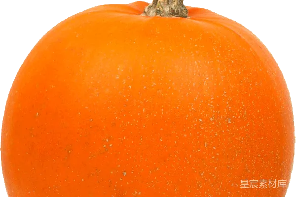 元素素材 南瓜