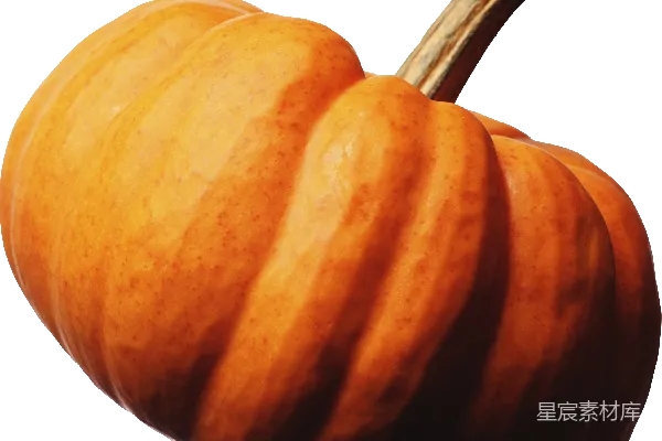 元素素材 南瓜