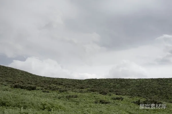 高清摄影 绿草.fields下白云