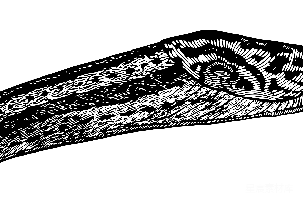 元素素材 夜晚的星空