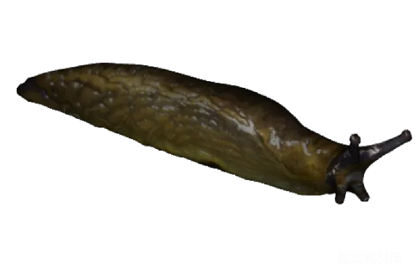 元素素材 Slug