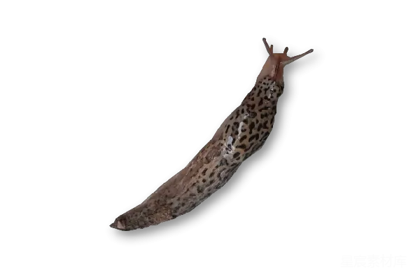 元素素材 Slug