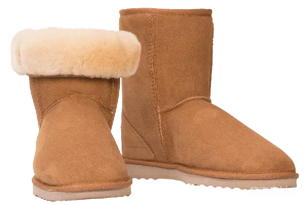 元素素材 ugg
