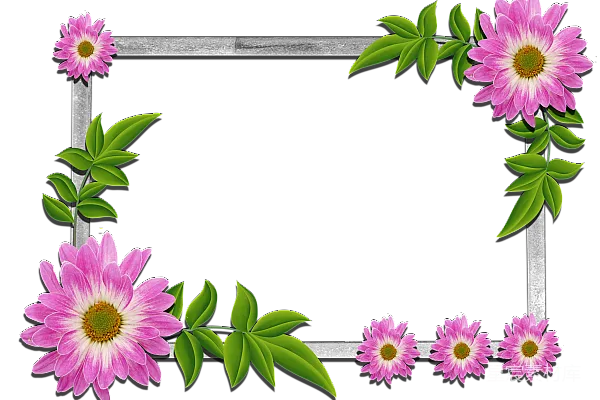 元素素材 600×424