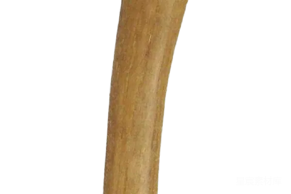 元素素材 轴