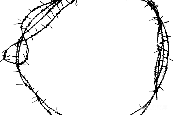 元素素材 透明
