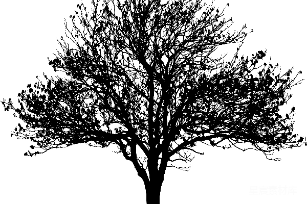 元素素材 树