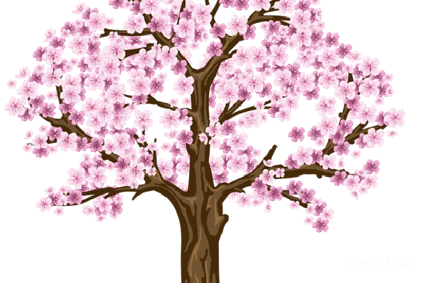 元素素材 透明