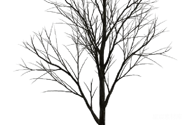 元素素材 树