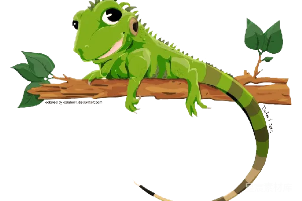 元素素材 透明