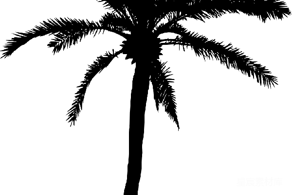 元素素材 棕榈