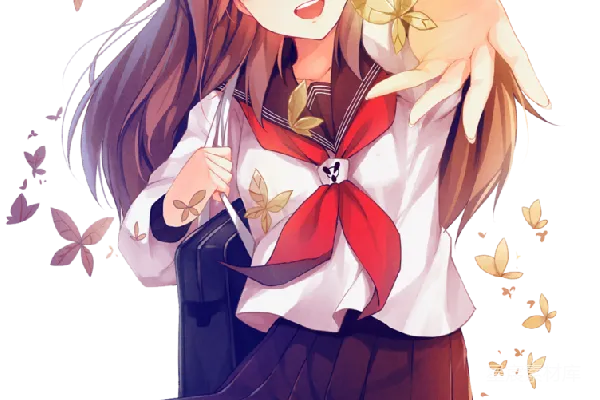 元素素材 动画